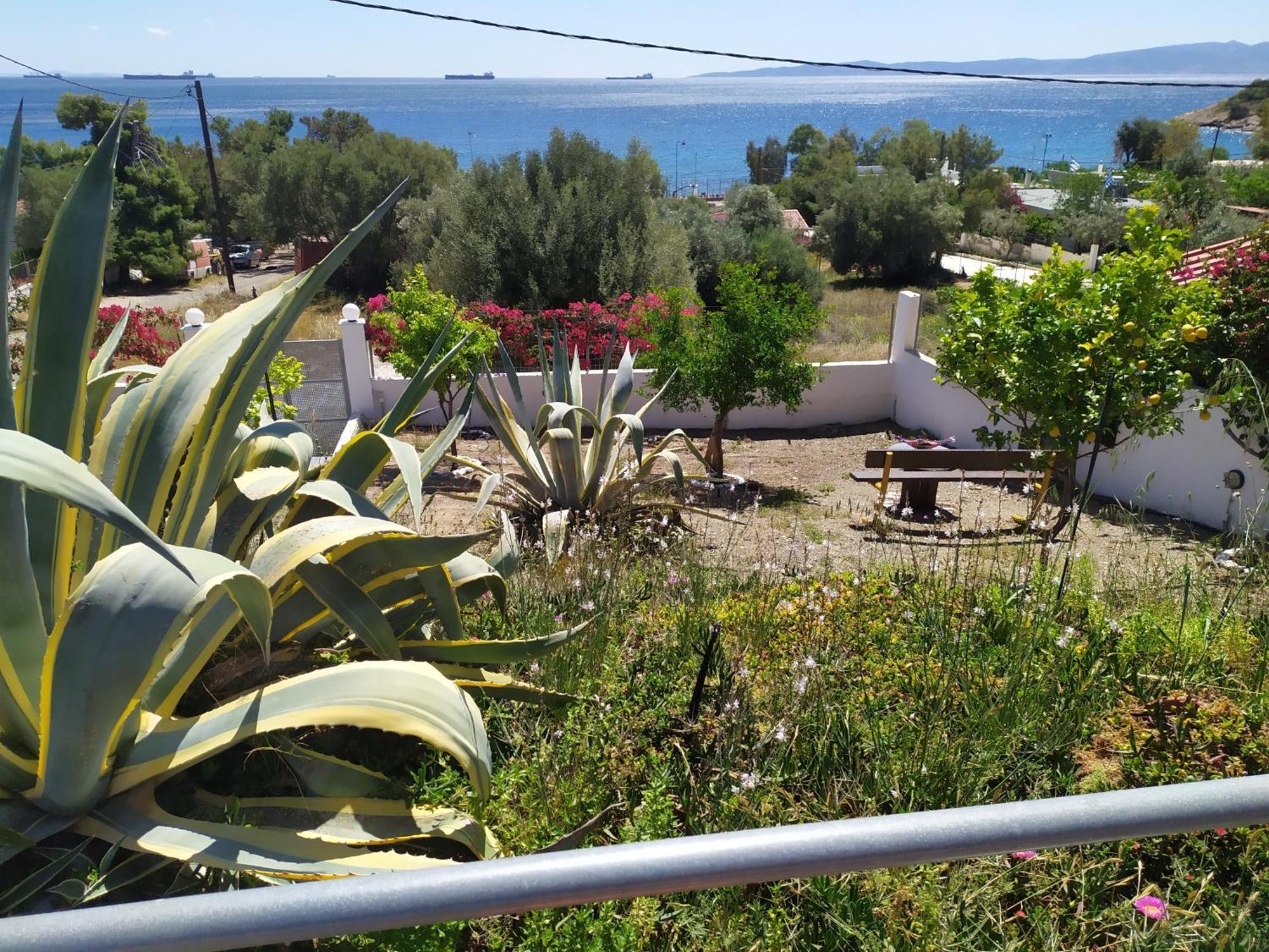 Thalassa Panagia  Экстерьер фото